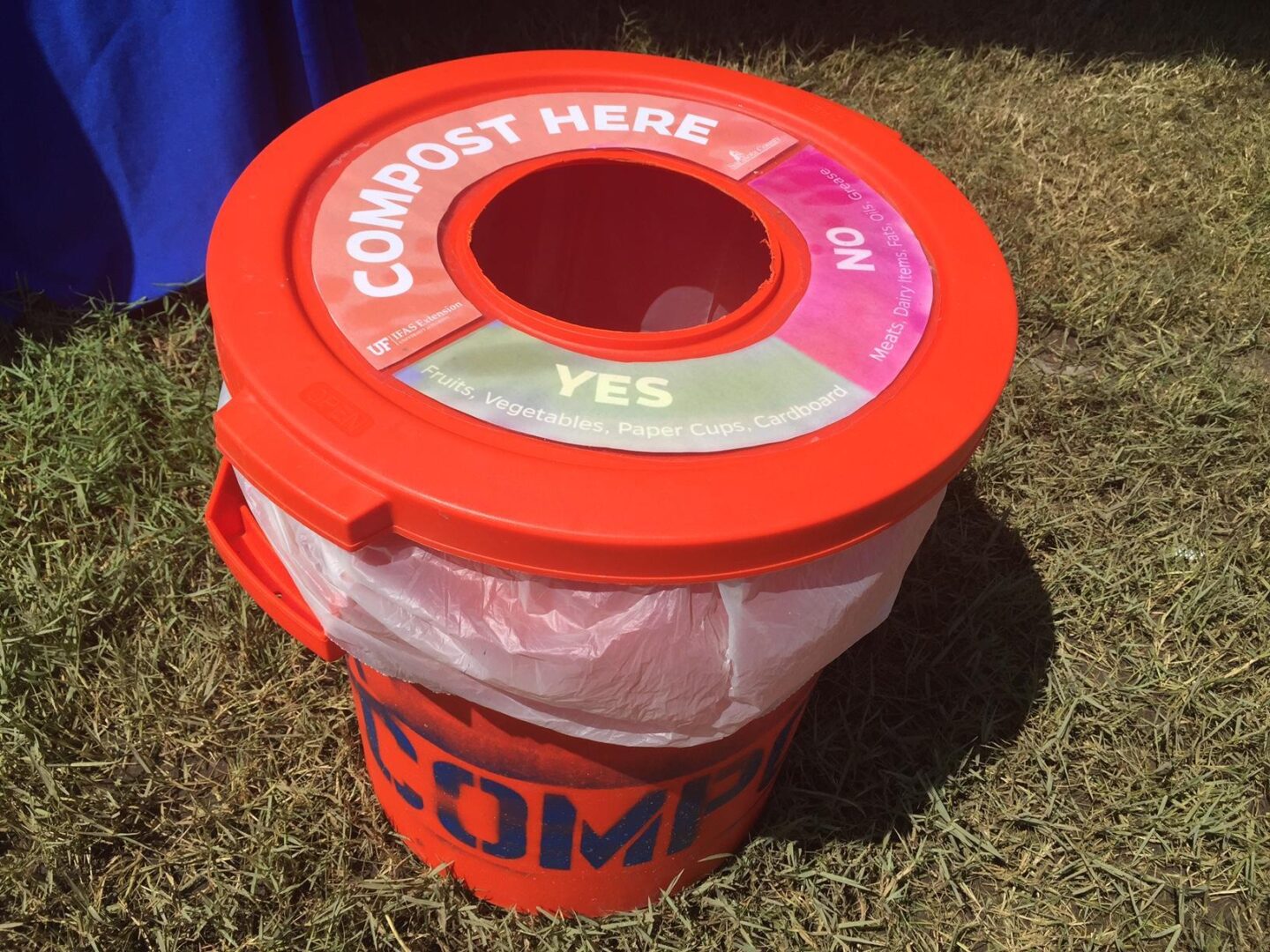 Red compost bin with a labeled lid indicating "YES" for fruits, vegetables, and paper cups, and "NO" for meat, dairy, and plastic. The bin is placed on grass outdoors.