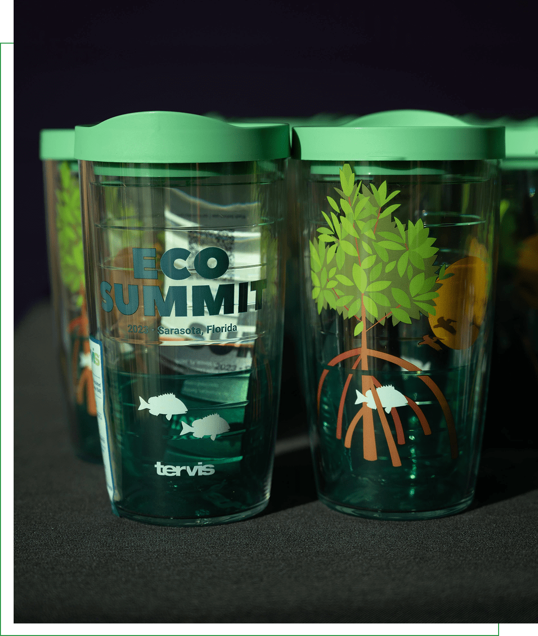 Clear plastic tumbler with green lid featuring "Eco Summit 2023 Sarasota, Florida" text and illustrations of a tree, fish, and turtle.
